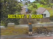 JamesandtheTroubleWithTreesWelshTitleCard.jpeg (79 KB)