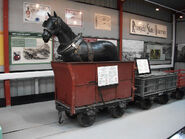 A real dandy wagon
