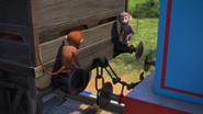 A stray animal wagon's bufferbeam