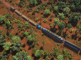 Gustavo's Express Line