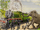 HenryandtheElephantRS6.PNG