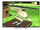 A2 7.png