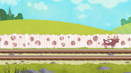 The farm's fence