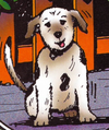 Wag.png