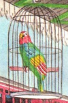 Cocky.png