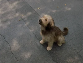 ThomasAndTheMagicRailroad169