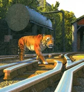 YongBaoandtheTigerpromo14.png (2.33 MB)