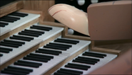The organ keys