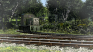 Salty with a green livery