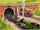 HenryandtheElephantRS3.PNG