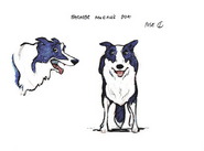McColls Dog CGI Sketch Design 1