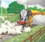 Sheep in a My Thomas Story Library book