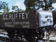 S.C. Ruffey*
