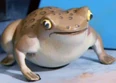 TheToad