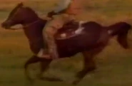 Ned Kincaid's Horse