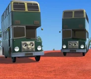 The Australian Double Decker Buses