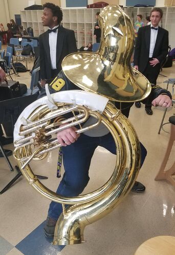 Tuba Paladin | Tuba Warriors Wiki | Fandom