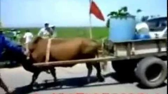 VỀ_VỚI_TAM_GIANG-_THẾ_CHÍ_ĐÔNG-_ĐIỀN_HẢI-_PHONG_ĐIỀN-_THỪA_THIÊN-_HUẾ