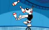 Dudley on a unicycle and juggling bowling pins.