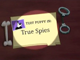 True Spies (transcript)