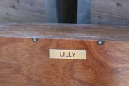 Lillie'sStorageBox.jpg (147 KB) Lillie's storage box