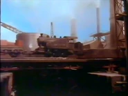 Little Owl in High Tide