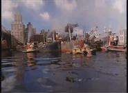 A wreck buoy in Sunshine