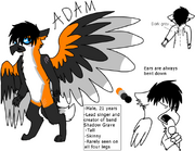 Adam Ref