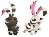 Zebra Bunny