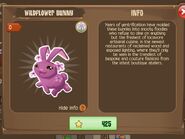 Wildflower Bunny 2 (Info)