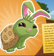 A Turtle Bunny in the Tunnel Town News