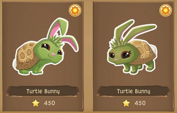 Turtle Bunny