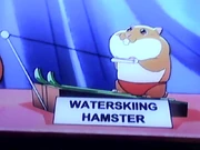 WaterskiingHamster