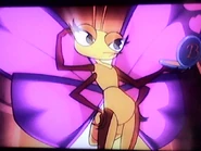 BramberH.jpg (119 KB) Bramber poses for the camera