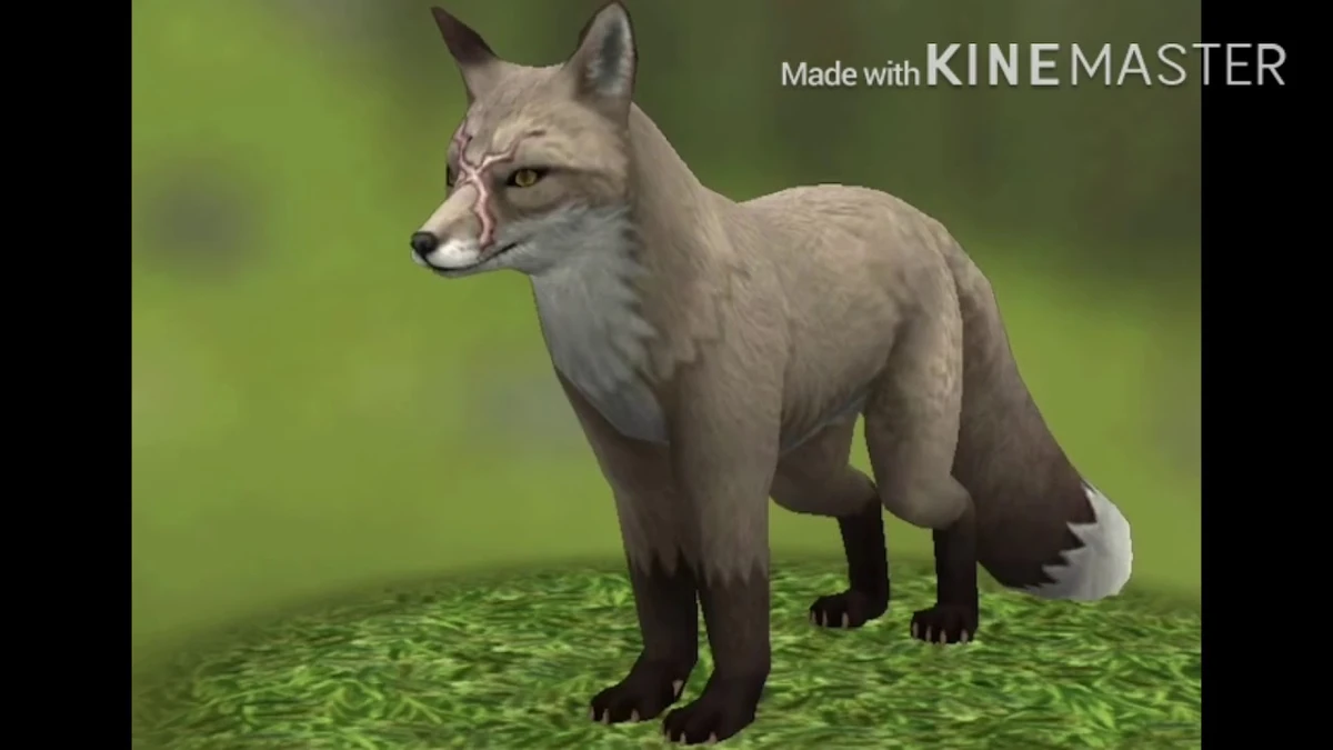 Fox | Turbo rocket games Wiki | Fandom