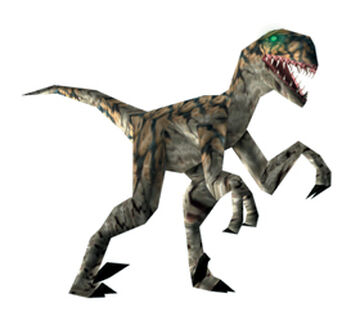 Raptor, Turok Wiki