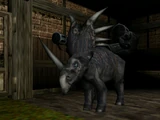 Styracosaurus