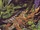 Bionosaur/Image Gallery
