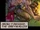 Aram Fireseed