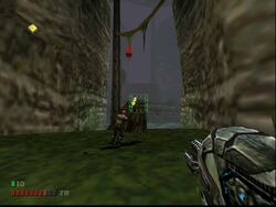 Cerebral Possessor | Turok Wiki | Fandom