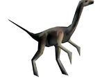 Compsognathus