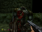 Turok7rl2