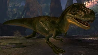 A juvenile T. rex.