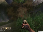 IGN screenshot showing the Grenade.