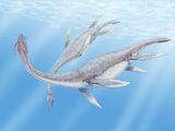 Plesiosaurus