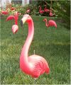 Lawnflamingo