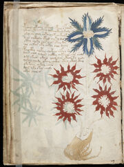 VoynichManuscript