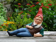 Gardengnome