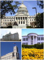 JacksonMissColl-1-.png