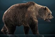 Cavebear